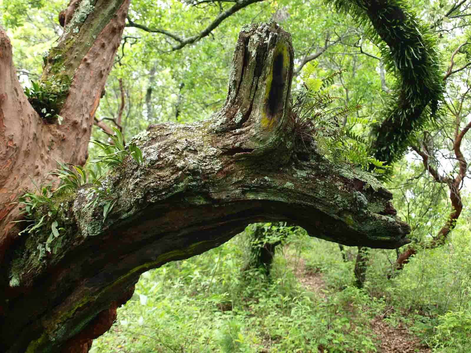 Mentalcoach,Business Coach,Golf,Neu-Ulm, Ulm, Leistungssport, Business,Burnout,Golfer,